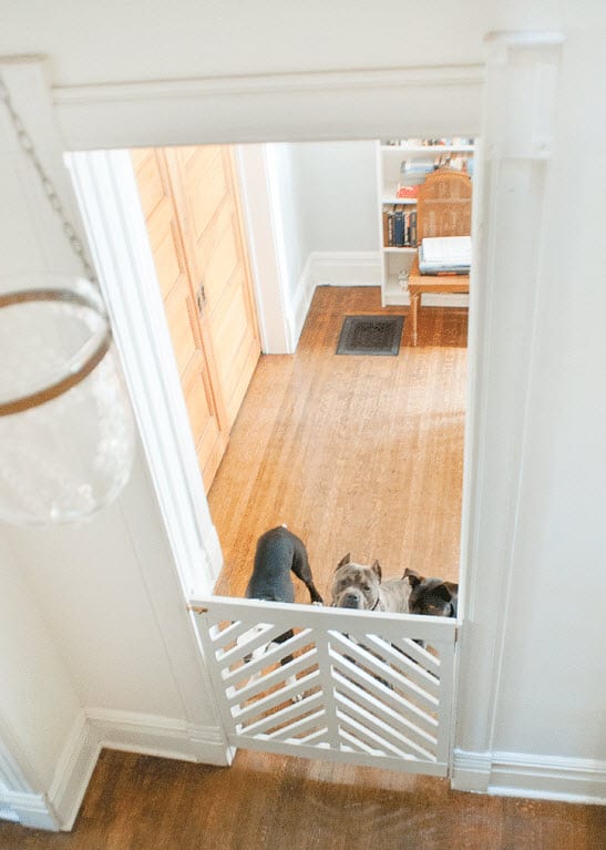 indoor dog house with gate