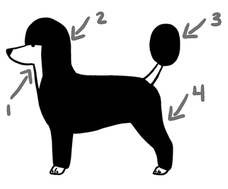 Kennel Cut diagram