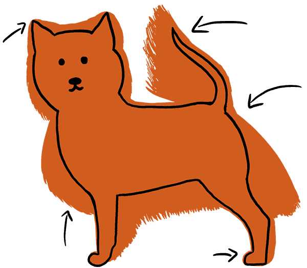 classic pomeranian cut