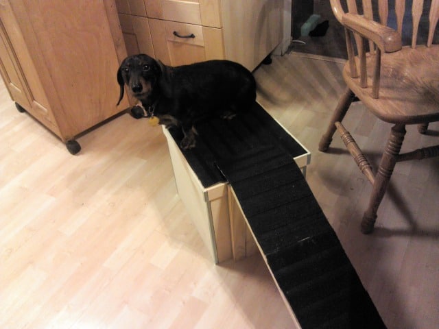 narrow pet ramp