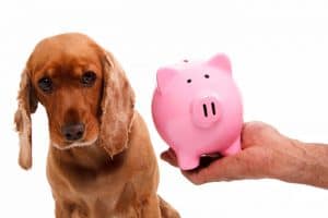 How much to tip your dog groomer? A groomer tells her story