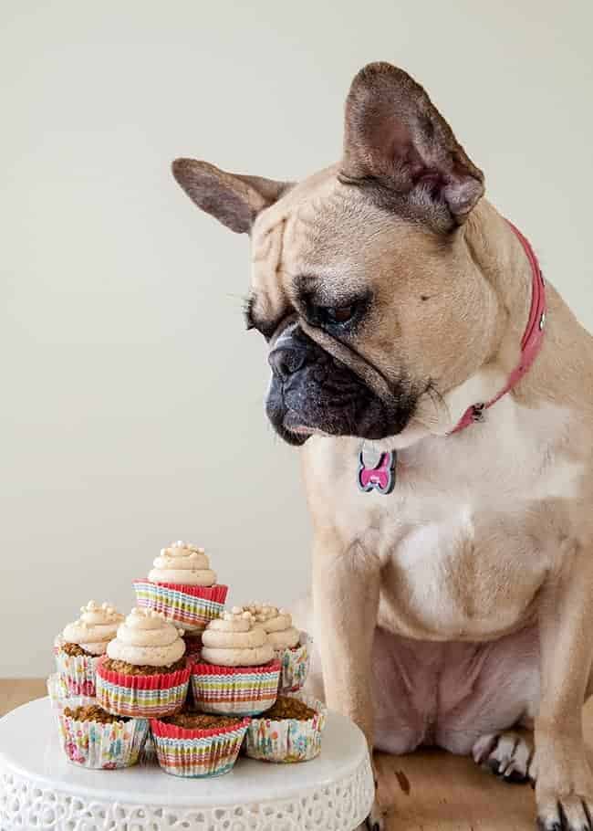 15 Dog Birthday Cake Cupcake Homemade Recipes PlayBarkRun