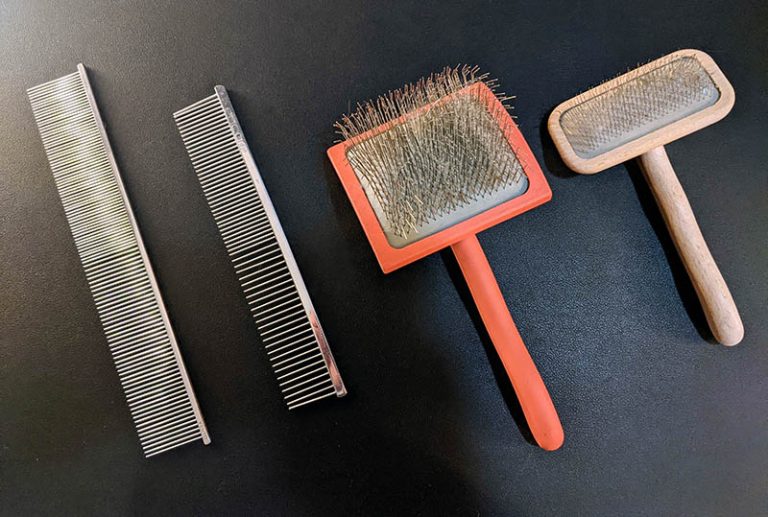 Best Brush for Shih Tzus Master Groomer Explains PlayBarkRun