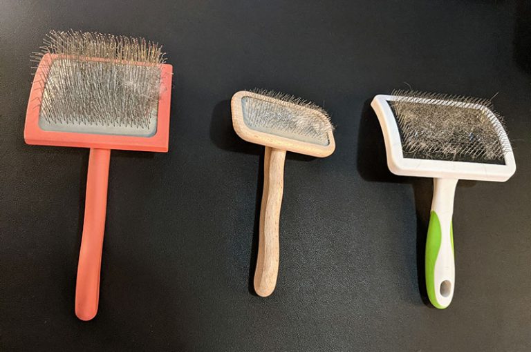 Best Brush for Poodles, Labradoodles, and Doodles Mixes